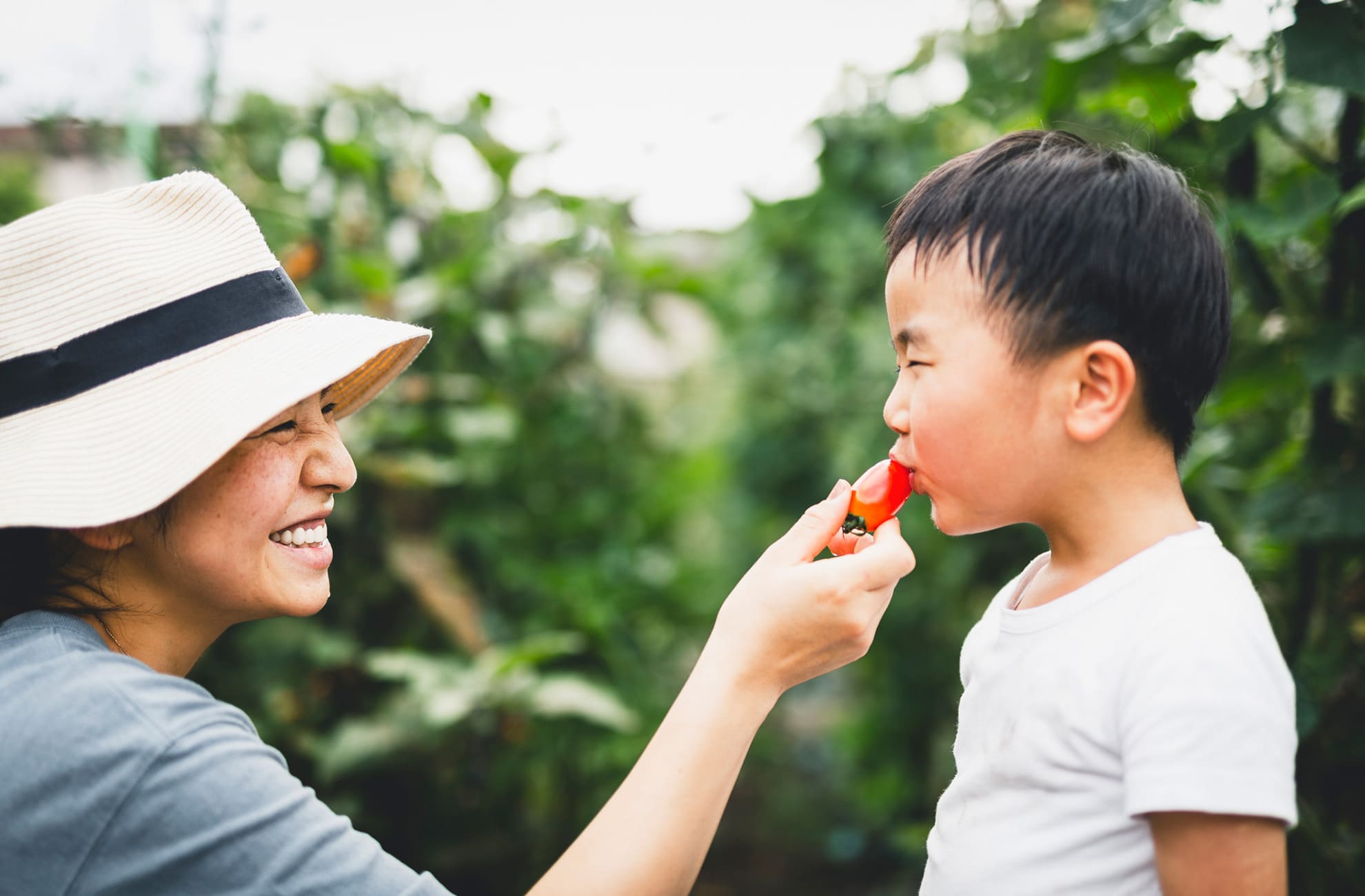 北海道オーガニック推進協会