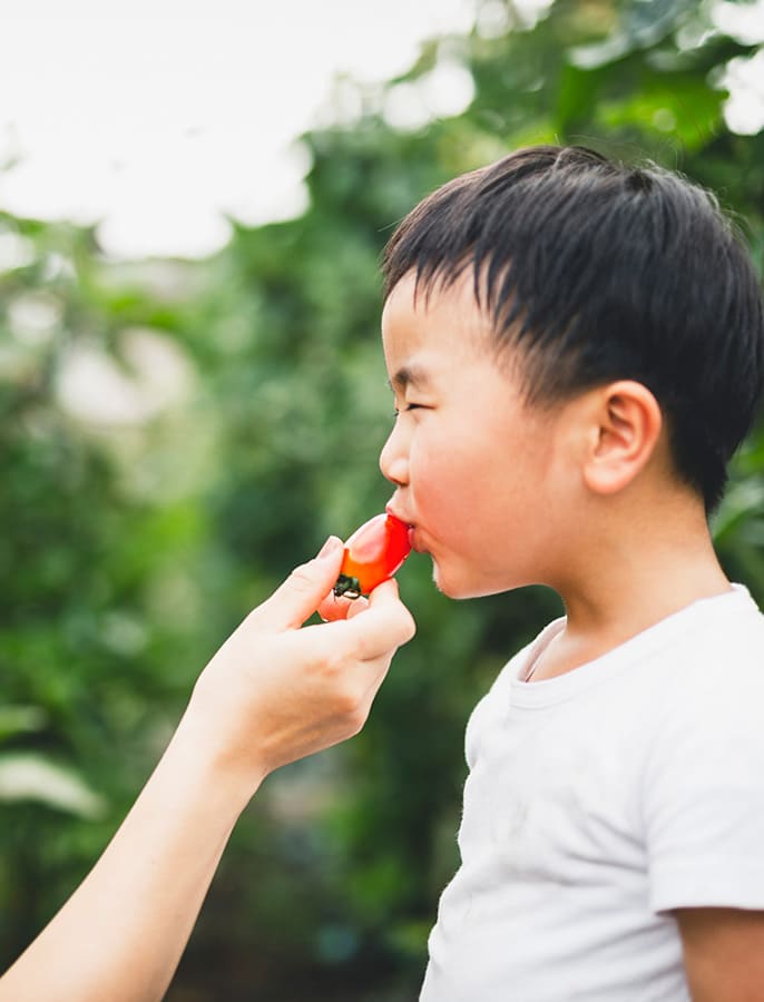 北海道オーガニック推進協会