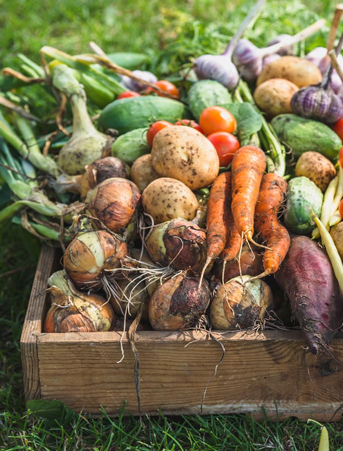 北海道オーガニック推進協会